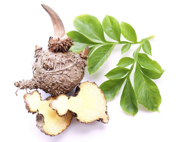 Glucomannan Gelatide